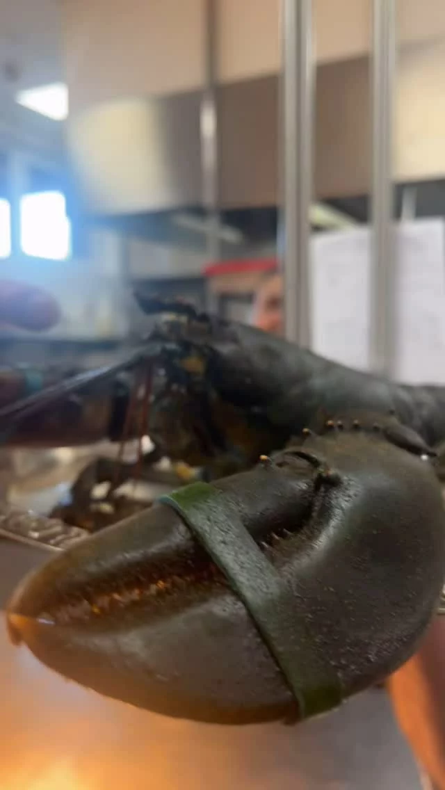 Catch of the Day 🐠 🎣 🦞. #foodlove #pier23leer #gourmetfood #chef #fisch #fischparadies #fischlover
